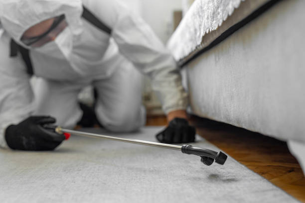 Professional Termite Control technician working in South Bay, FL