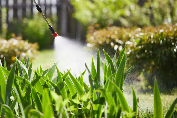 24/7 Emergency Termite Control experts in South Bay, FL