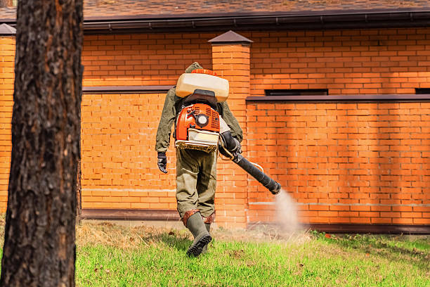 Trusted Cockroach Control service in South Bay, FL - Nex Pest Control